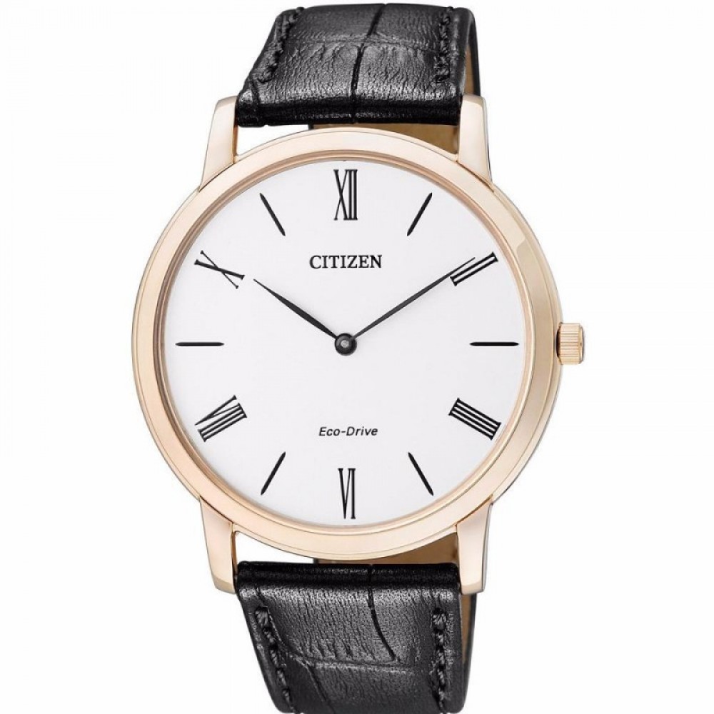 Citizen AR1113-12B